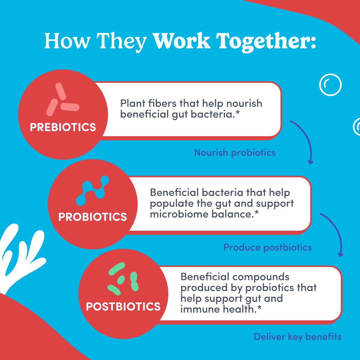 FIRST DAY Teens’ Gut Sustainer Tribiotic Gummies – 3-in-1 Prebiotic, Probiotic & Postbiotic (60-Day Supply)