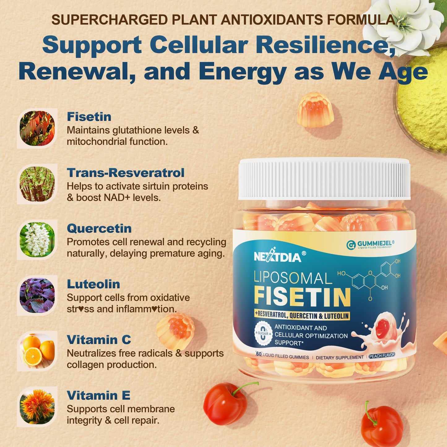 Liposomal Fisetin 200mg & Resveratrol 500mg Gummies – Longevity & Cellular Renewal | 1-A-Day, 60 Gummies