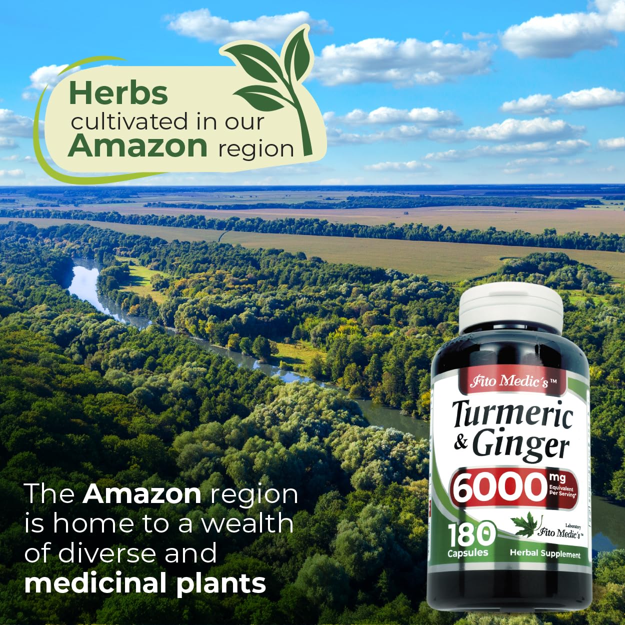 FITO MEDIC'S Lab | Turmeric and Ginger Supplement | 6000 mg | 180 Caps | Ultra High Absorption