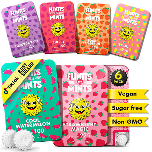 Flintts Mints Fruit Troop – Sugar Free Mints for Dry Mouth Relief & Freshness