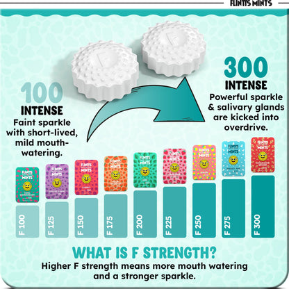 Flintts Mints Fruit Troop – Sugar Free Mints for Dry Mouth Relief & Freshness