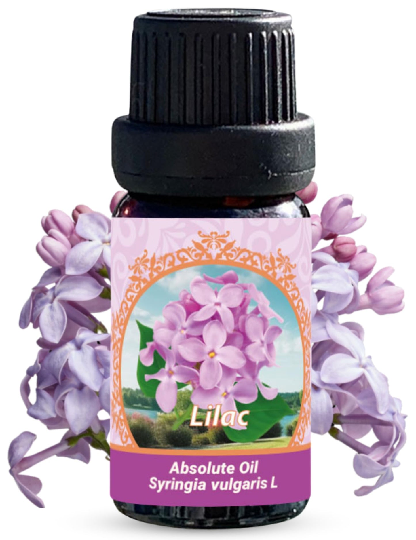 Lilac Absolute Oil | 100% Pure Syringa Vulgaris (Therapeutic Grade) | Flora Aromatics