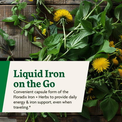 Floradix Iron + Herbs – Vegan Liquid Iron for Energy Support (120 Phyto-Caps)