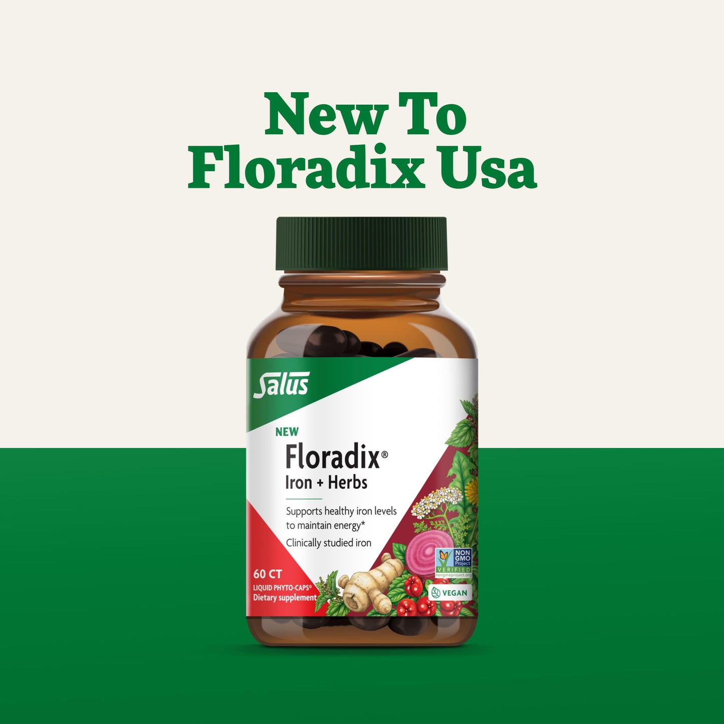 Floradix Iron + Herbs - Vegan Liquid Iron Supplement for Energy Support (60 Phyto-Caps) - Non-GMO, Gluten-Free, Soy-Free