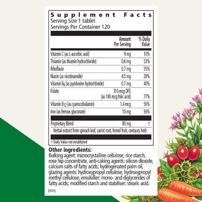 Floradix Iron Tablets - Iron Supplement with B Vitamins, Vitamin C & More | Vegetarian & Gluten-Free | 120 Tablets