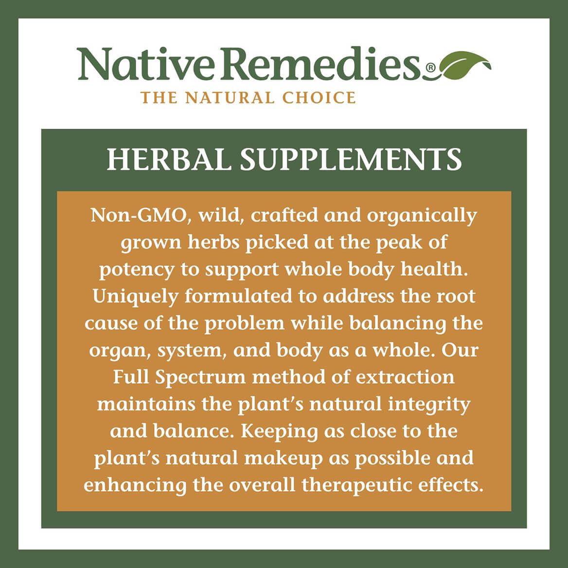 Native Remedies Focus Formula - Natural Focus Support