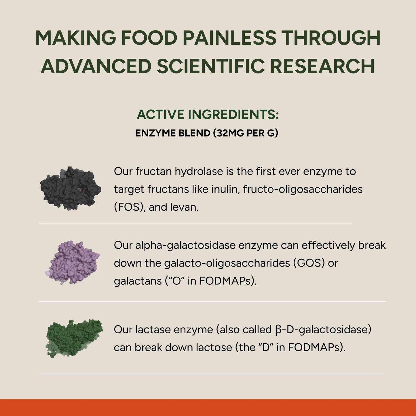 FODZYME On-The-Go Digestive Enzymes for Gut Health | Low FODMAP Support 30 Dose