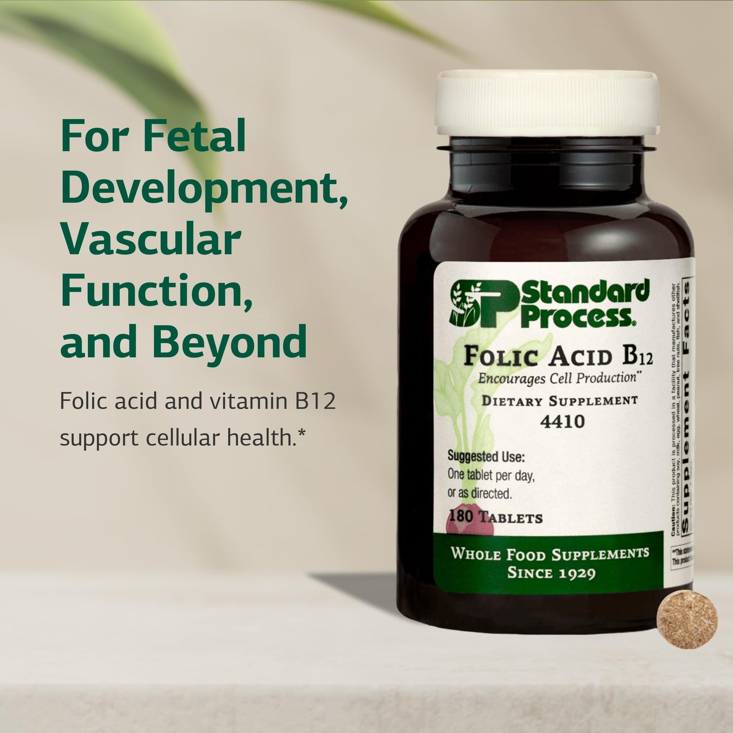 Standard Process Inc. Folic Acid B12-180 Tablets – Buy Online