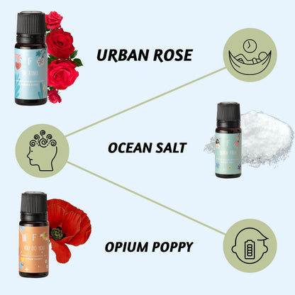 Folkulture Essential Oils for Diffuser – Set of 6 Fragrances (Green Tea, Ocean Salt)
