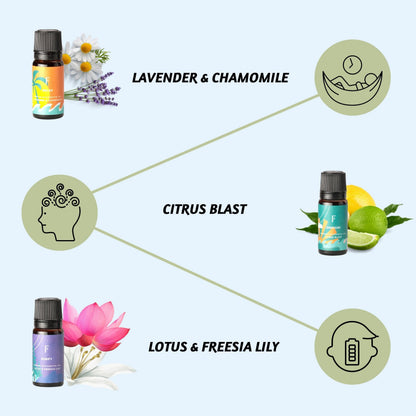 Folkulture Essential Oils for Diffuser Oil - 6-Pack Fragrance Oils for Home | Lavender & Sandalwood