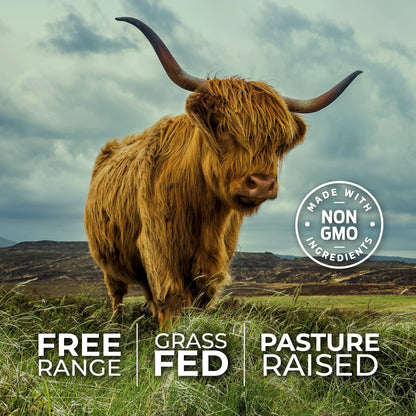 ForestLeaf Beef Organ Supplement - Grass-Fed & Pasture-Raised (180 Caps)
