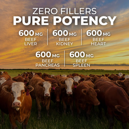 ForestLeaf Beef Organ Supplement - Grass-Fed & Pasture-Raised (180 Caps)