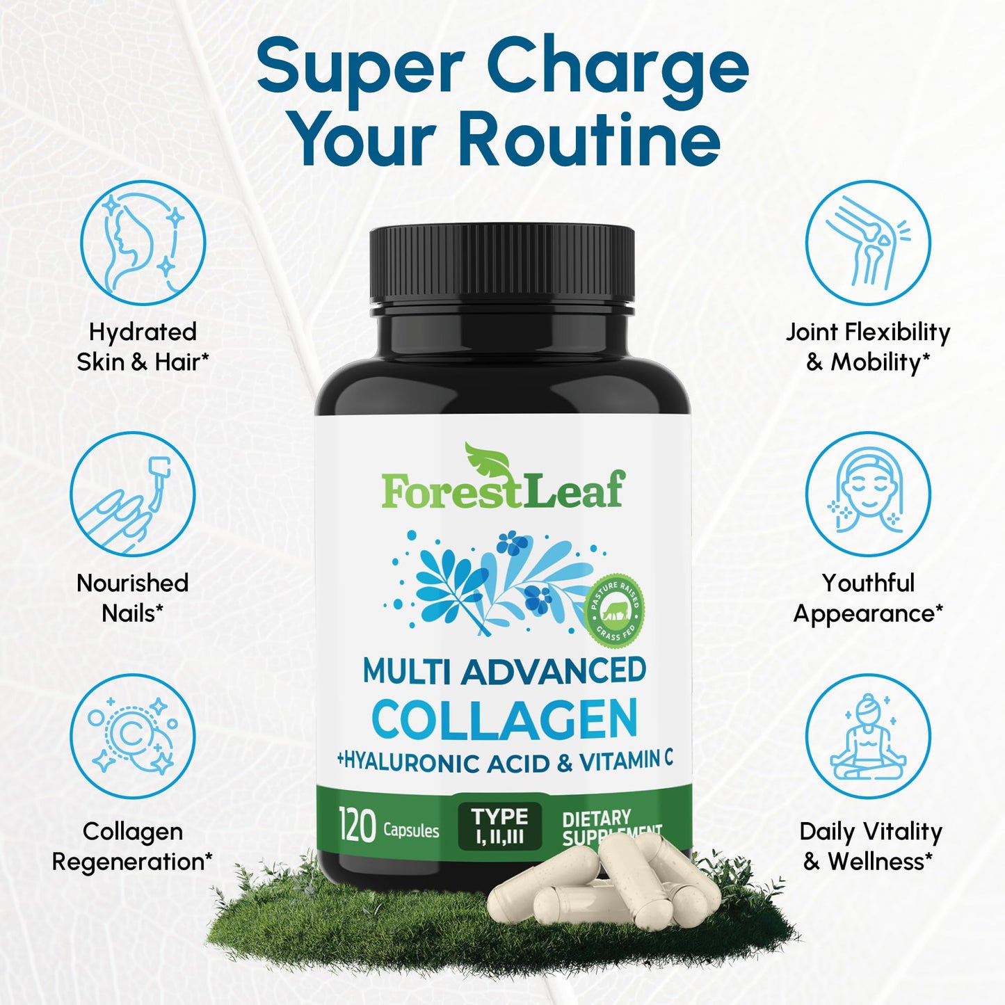ForestLeaf Multi Collagen Pills with Hyaluronic Acid + Vitamin C | Hydrolyzed Collagen for Skin, Joints, and Hair | 240 Capsules