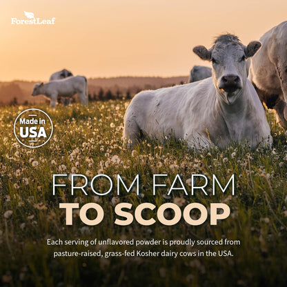 ForestLeaf Colostrum Powder 50% IgG – Grass-Fed, Unflavored, 45 Servings