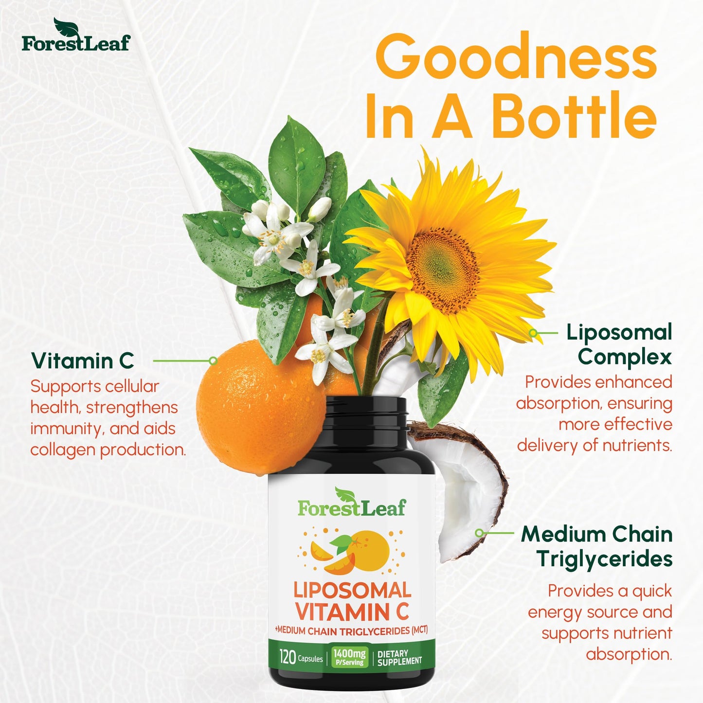ForestLeaf Liposomal Vitamin C 1000mg Capsules | High-Dose Liposomal Vitamin C