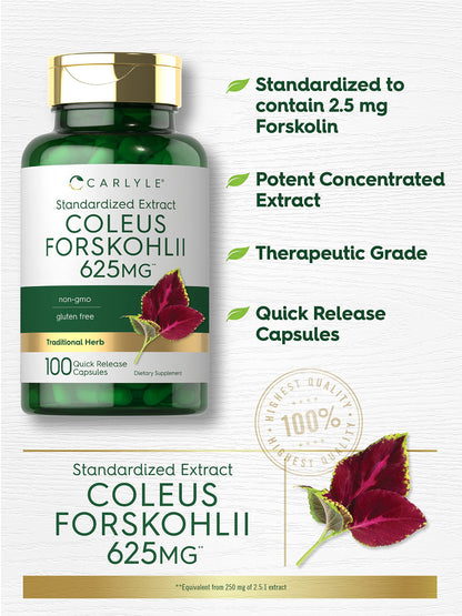Carlyle Coleus Forskohlii Capsules | 625mg | 100 Count | Non-GMO & Gluten Free Standardized Extract | Forskolin Supplement