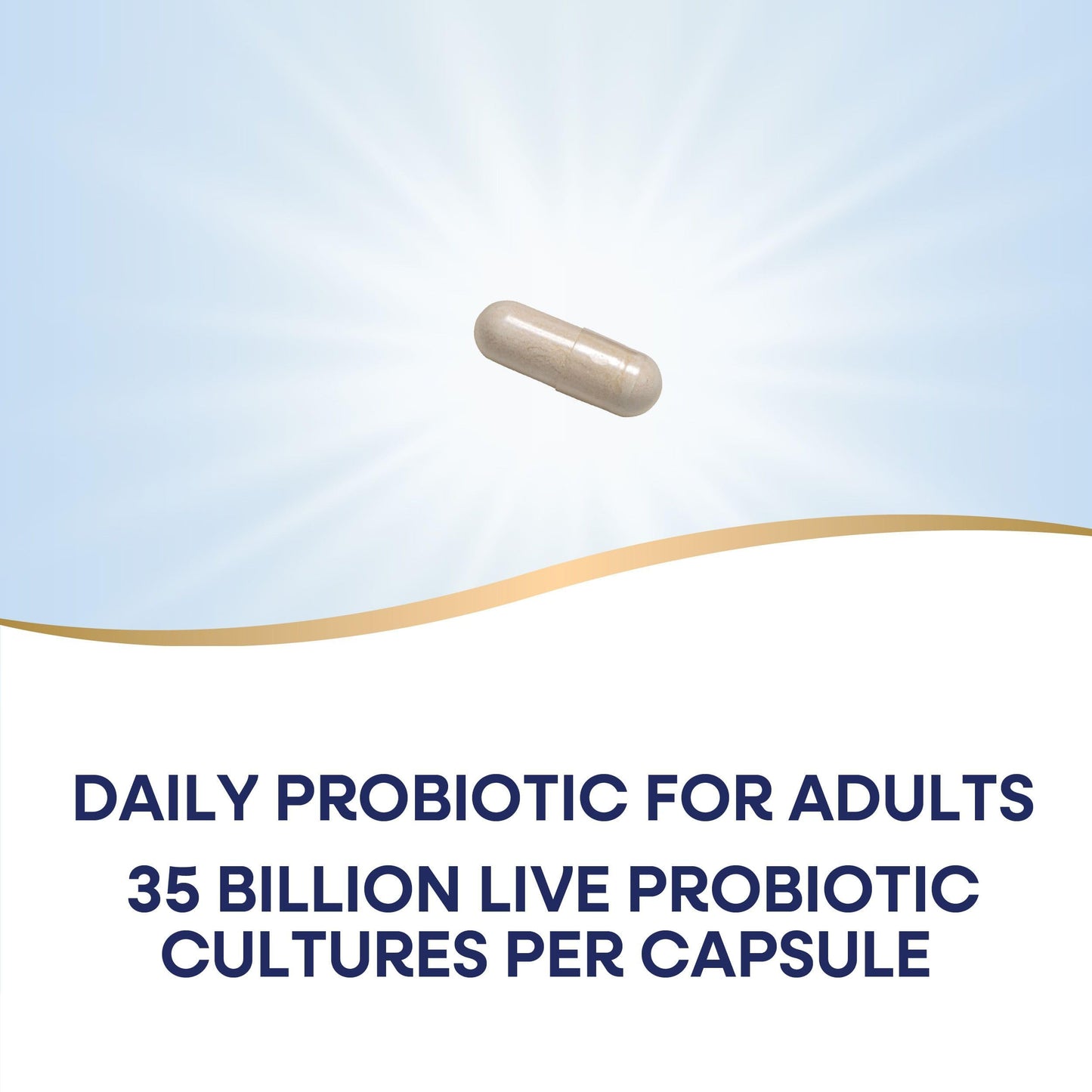 Nature's Way Fortify Optima Probiotic for Adults – 35B Cultures, 15 Strains