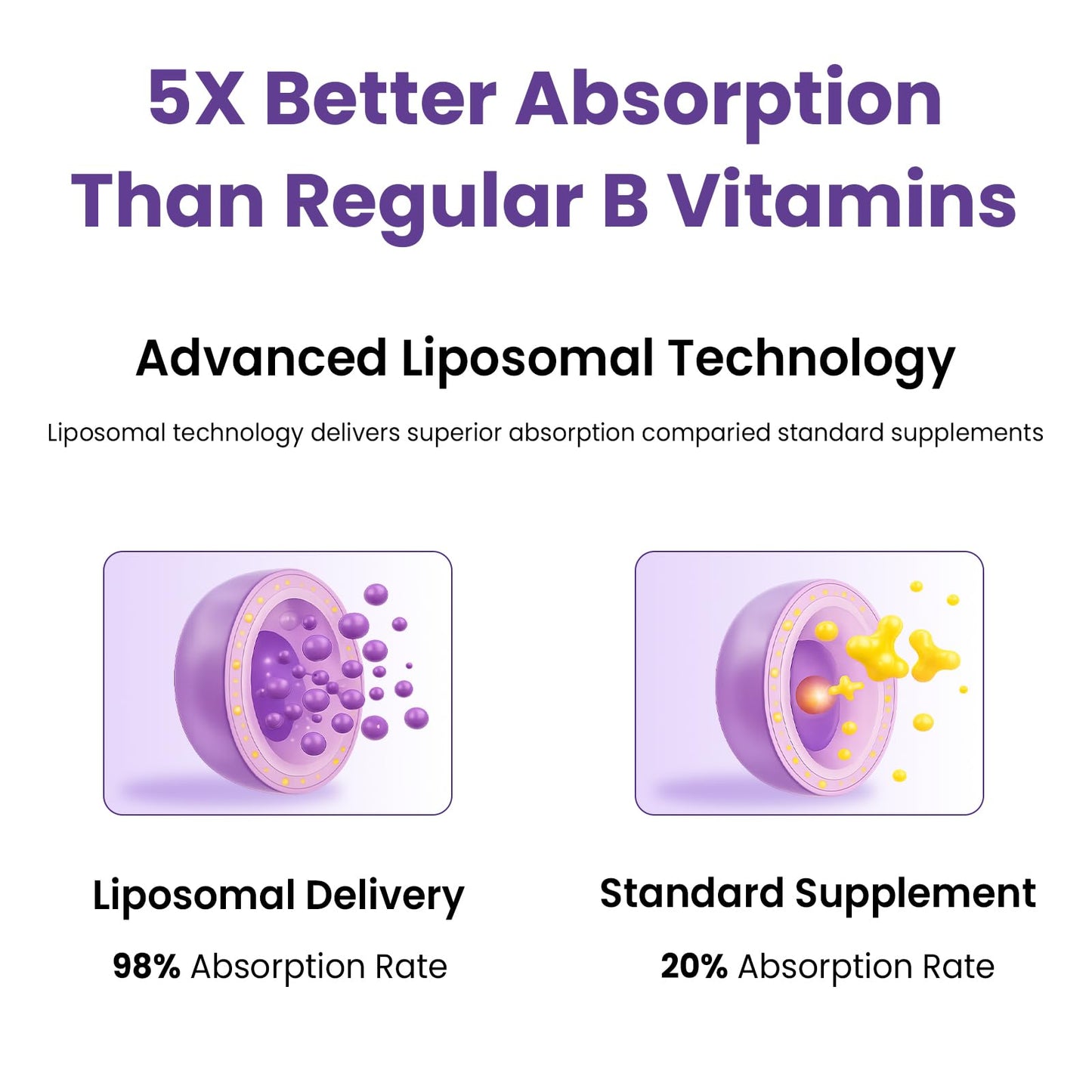 Franguly Liposomal Vitamin B Complex Liquid | High Absorption B-Complex