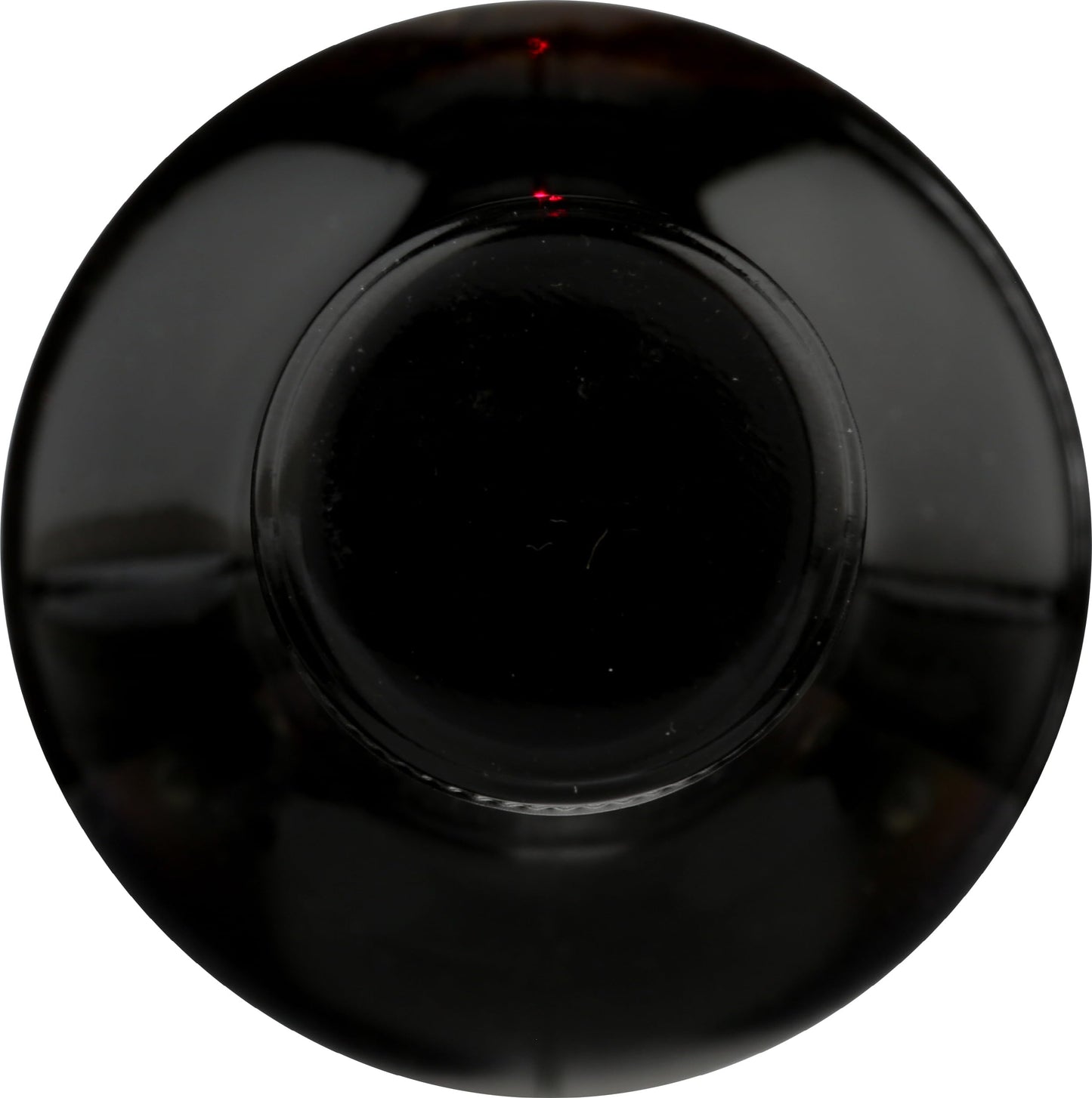 Elderberry Juice Concentrate 12.5 fl oz – Wyldewood Cellars