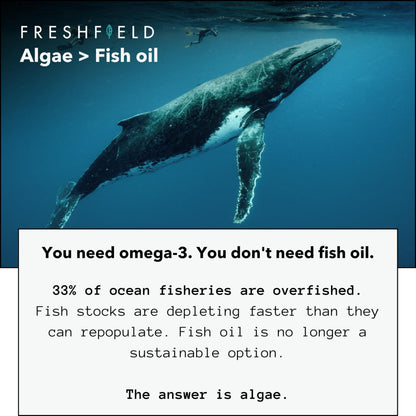 Freshfield Omega-3 DHA + DPA from Algae – Vegan, 440 mg DHA per Capsule