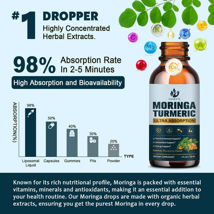 (2 Pack) Organic Moringa Leaf Extract Liquid Drops – Energy, Immune & Skin Support | 1 fl oz