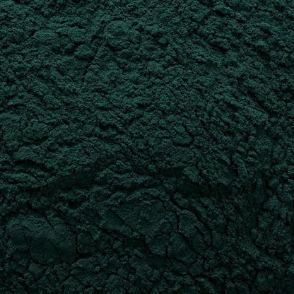 Frontier Co-op Spirulina Powder, Kosher, Non-Irradiated | 1 lb Bulk Bag | Spirulina platensis Geitler