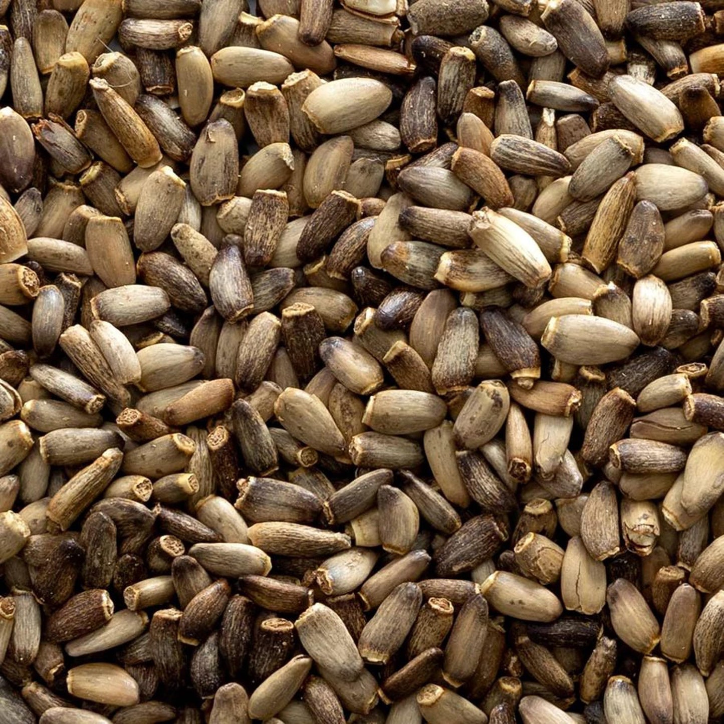 Frontier Milk Thistle Seed Whole - Bulk Silybum marianum | Liver Health & Culinary Use