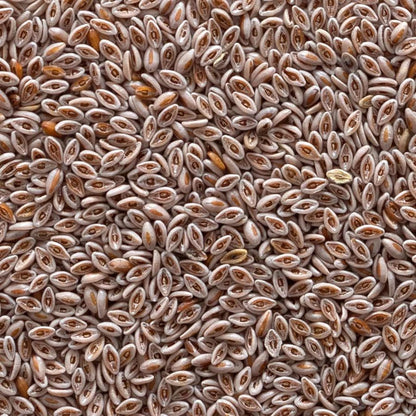 Frontier Co-op Organic Whole Psyllium Seed 1lb