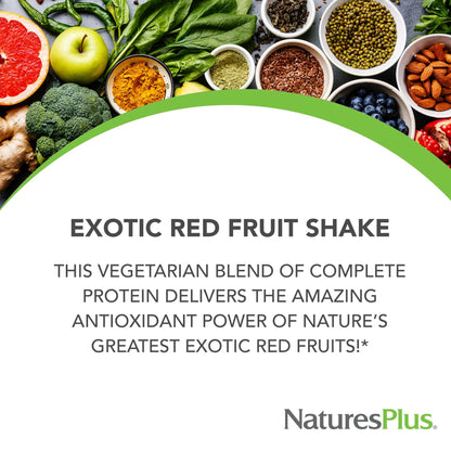 FRUITEIN Exotic Red Fruit Shake – 13 g Plant-Based Protein per Serving