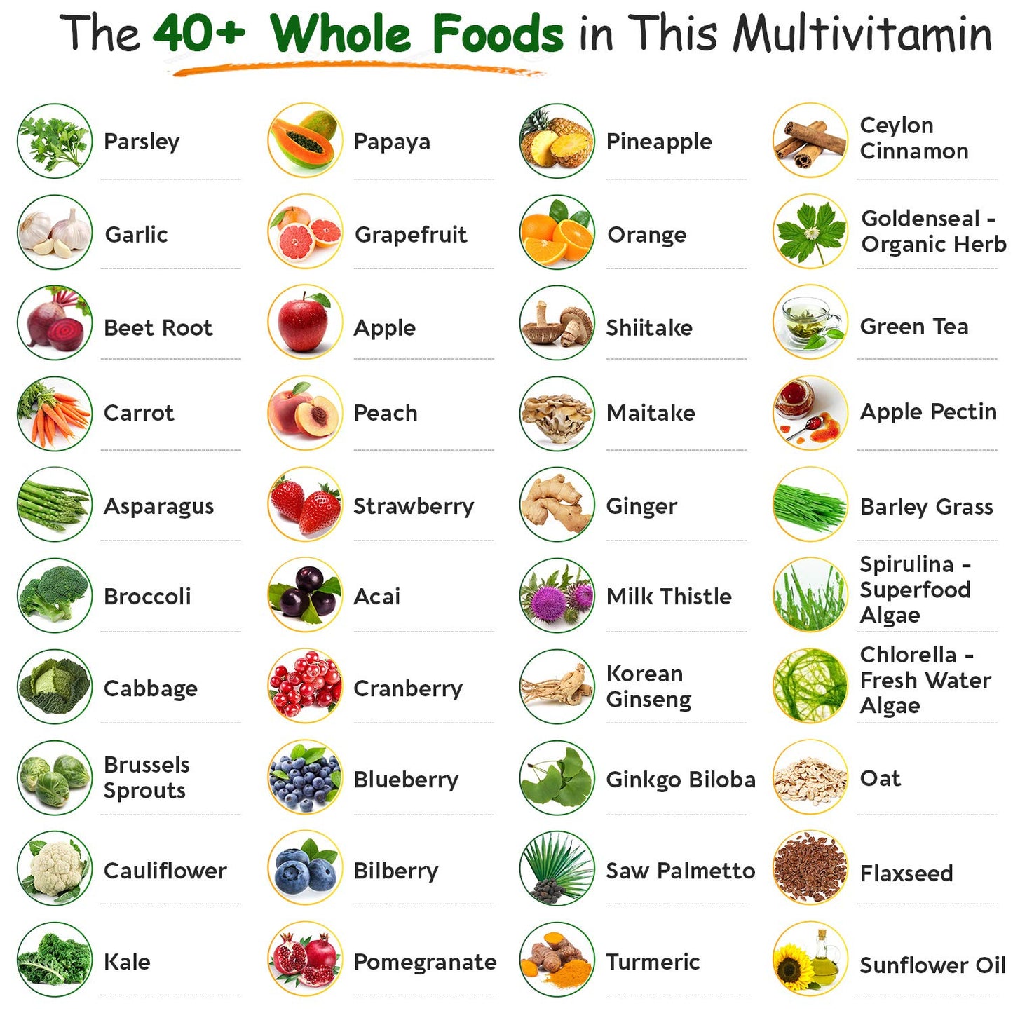 Wholesome Wellness Whole Food Multivitamin for Men – Vegan, Non-GMO, 120 Tablets