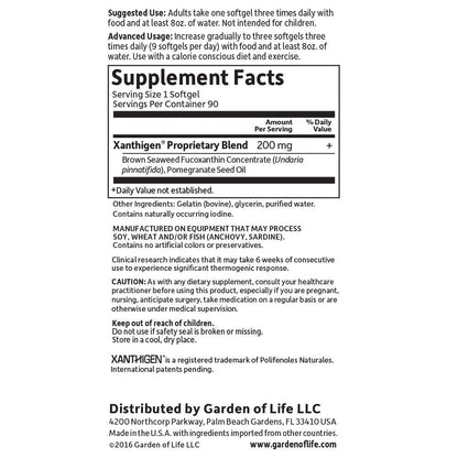 Garden of Life FucoThin Fucoxanthin Supplements – Non-Stimulant Fat Burner, 90 Softgels