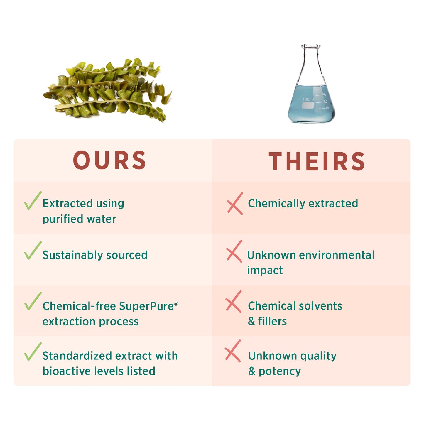 PURE SYNERGY SuperPure Fucoidan Extract | Organic Brown Seaweed | Immune Support, Digestion & Healthy Aging (60 Capsules)