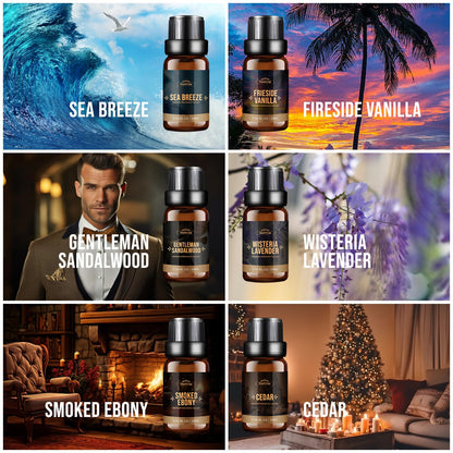 FUHITIM Fragrance Oil - Charming Men's Set (6x10ml) for Diffuser, Candle & Soap Making