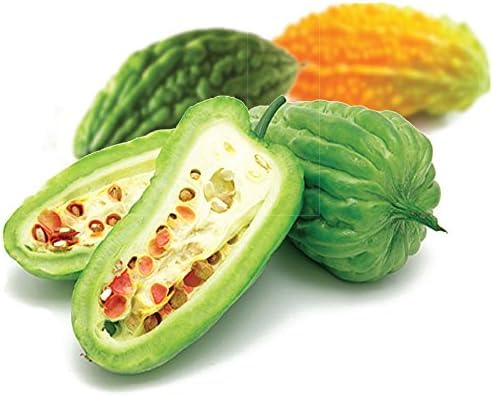 Gabby Insul Care Bitter Melon Natural Herbal Extracts (10:1) Active 500mg 240 Capsules Made in USA