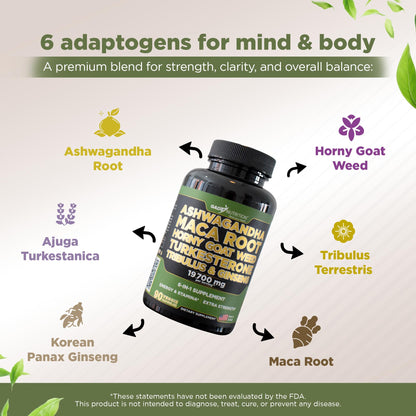 Gade Nutrition Ashwagandha 6-in-1 with Maca, Ginseng & Turkesterone | 90 Veg Capsules | Made in USA