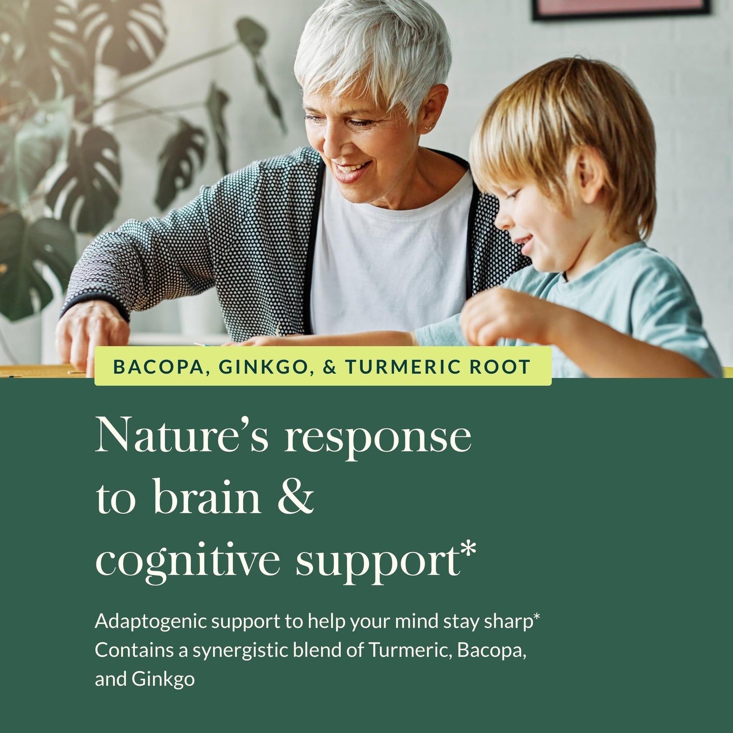 Gaia Herbs Agile Mind – Brain Support with Turmeric, Bacopa, Black Pepper & Ginkgo Biloba | 60 Vegan Liquid Phyto-Capsules