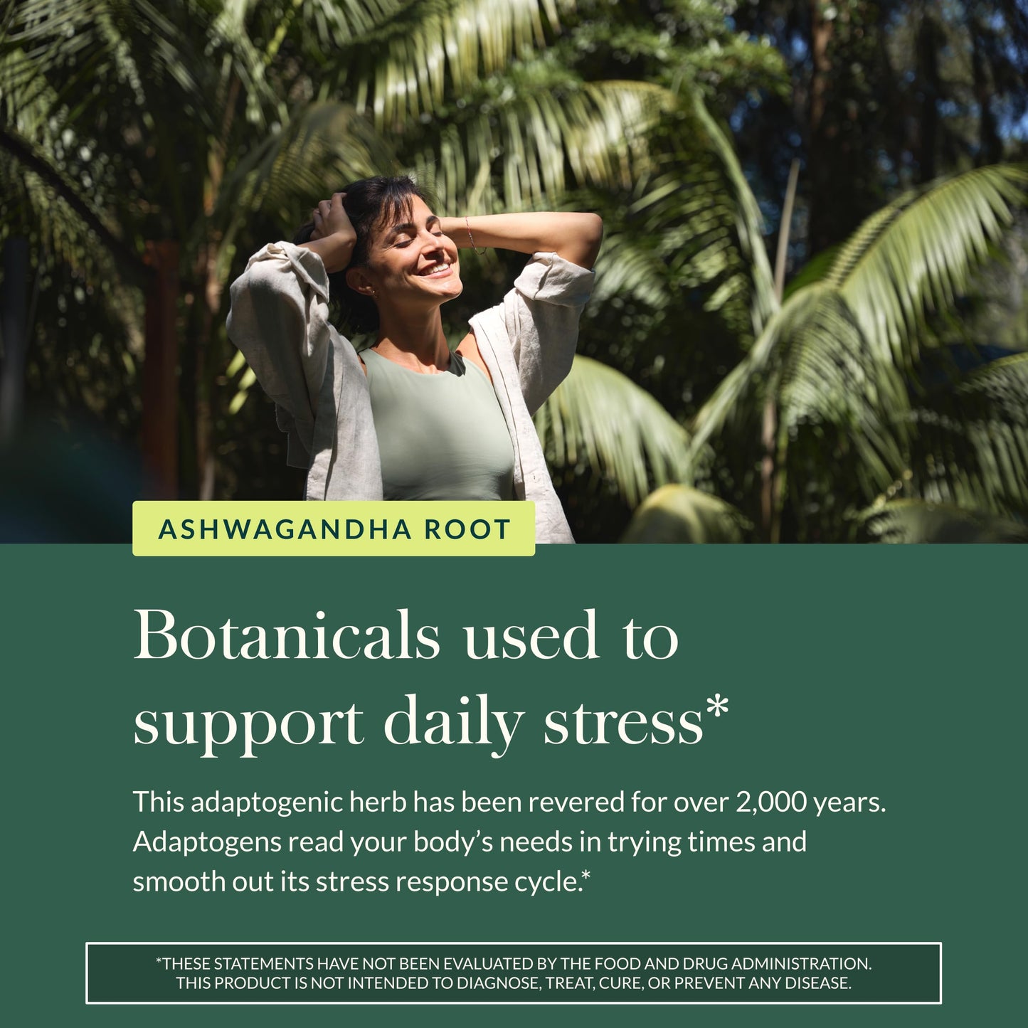 Gaia Herbs Ashwagandha Root - Stress Relief & Sleep Support (60 Vegan Capsules)