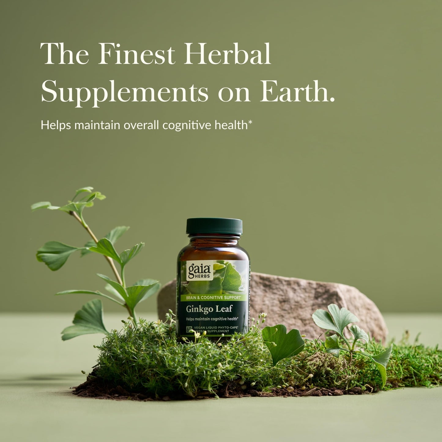 Gaia Herbs Ginkgo Leaf | Brain Health & Circulation | 60 Vegan Liquid Phyto-Capsules