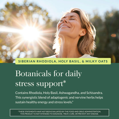 Gaia Herbs Adrenal Health Daily Support - Ashwagandha, Holy Basil & Schisandra | 120 Vegan Liquid Phyto-Caps (60 Servings)
