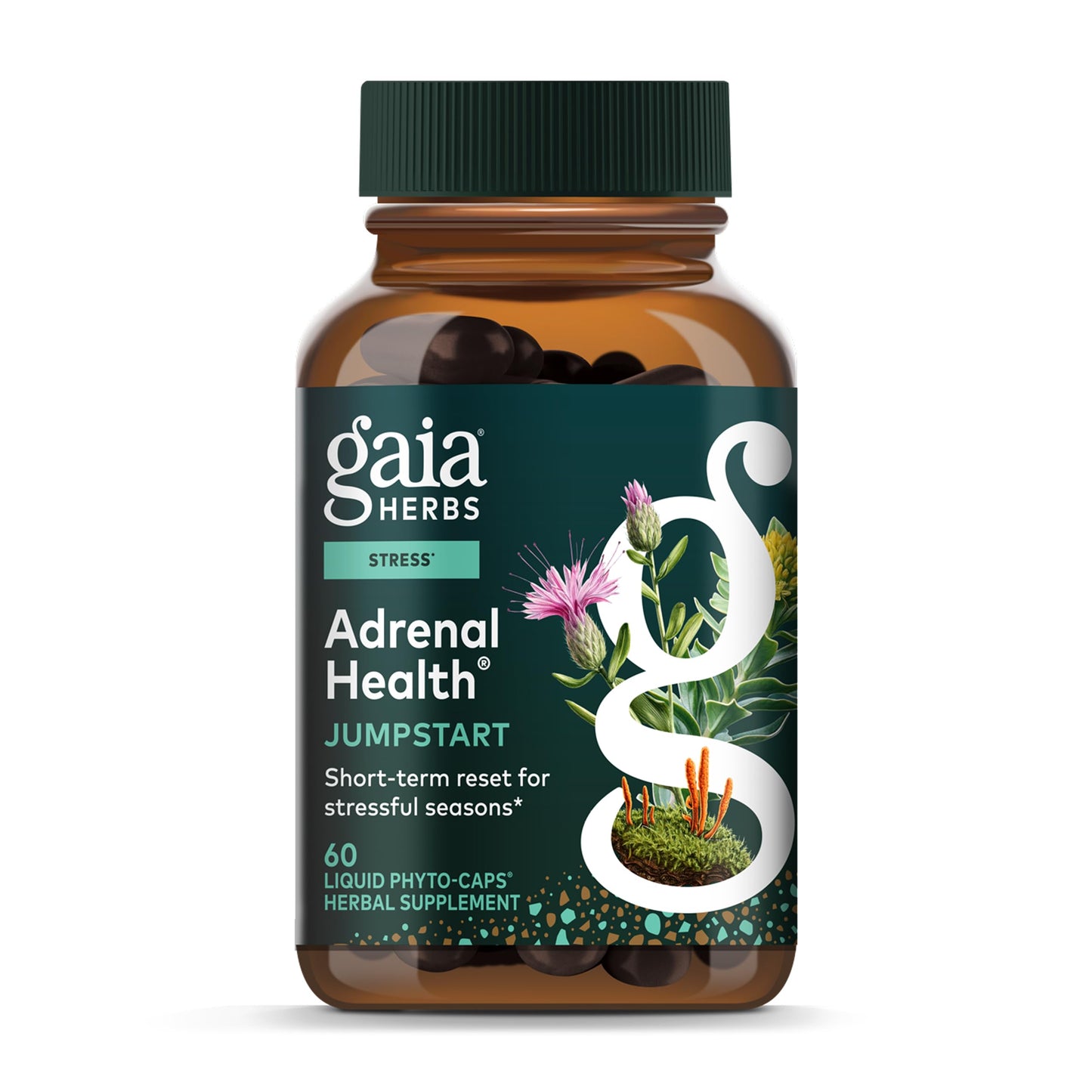 Gaia Herbs Adrenal Health Jumpstart | Adaptogenic Blend for Energy & Stress Support | 60 Vegan Liquid Phyto-Capsules