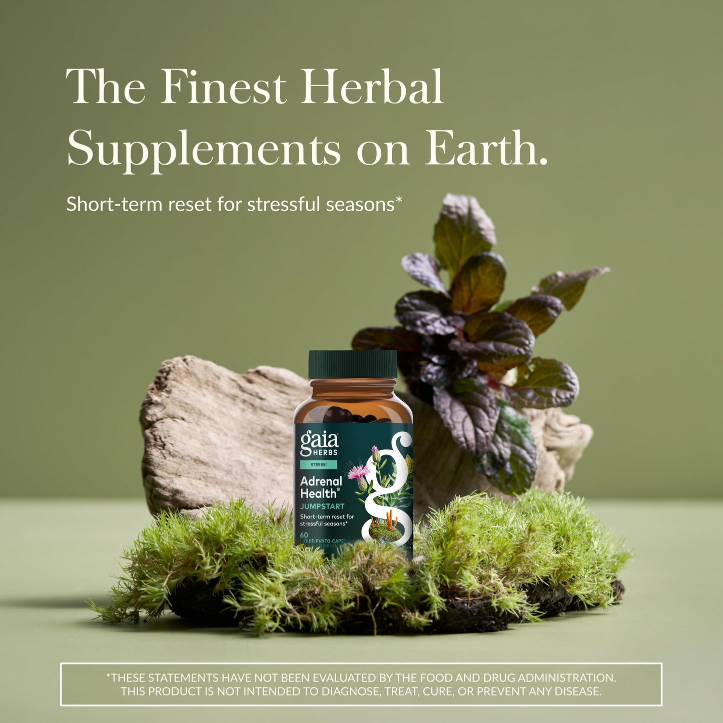 Gaia Herbs Adrenal Health Jumpstart | Adaptogenic Blend for Energy & Stress Support | 60 Vegan Liquid Phyto-Capsules