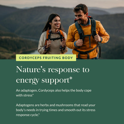 Gaia Herbs Cordyceps Mushroom – Energy & Endurance Support (40-Day, Vegan)