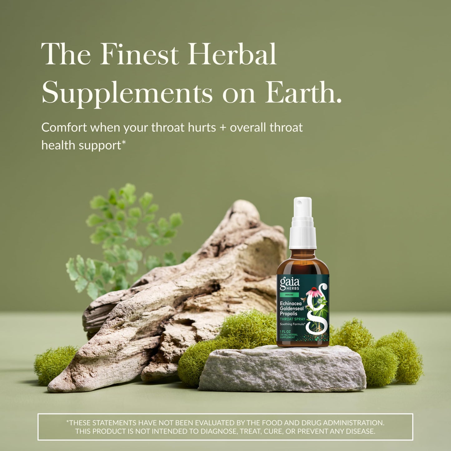 Gaia Herbs Echinacea Goldenseal Propolis Throat Spray – Immune Support (Organic 1 oz)