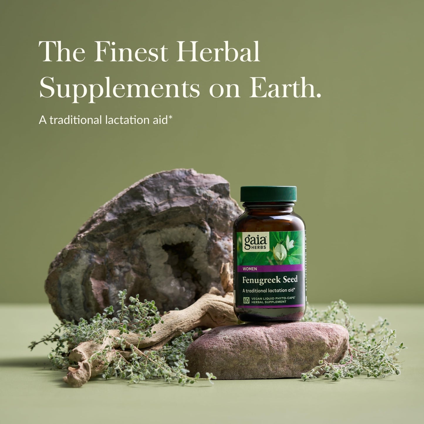 Gaia Herbs Fenugreek Seed – Supports Lactation & Breast Milk Production | 60 Vegan Capsules