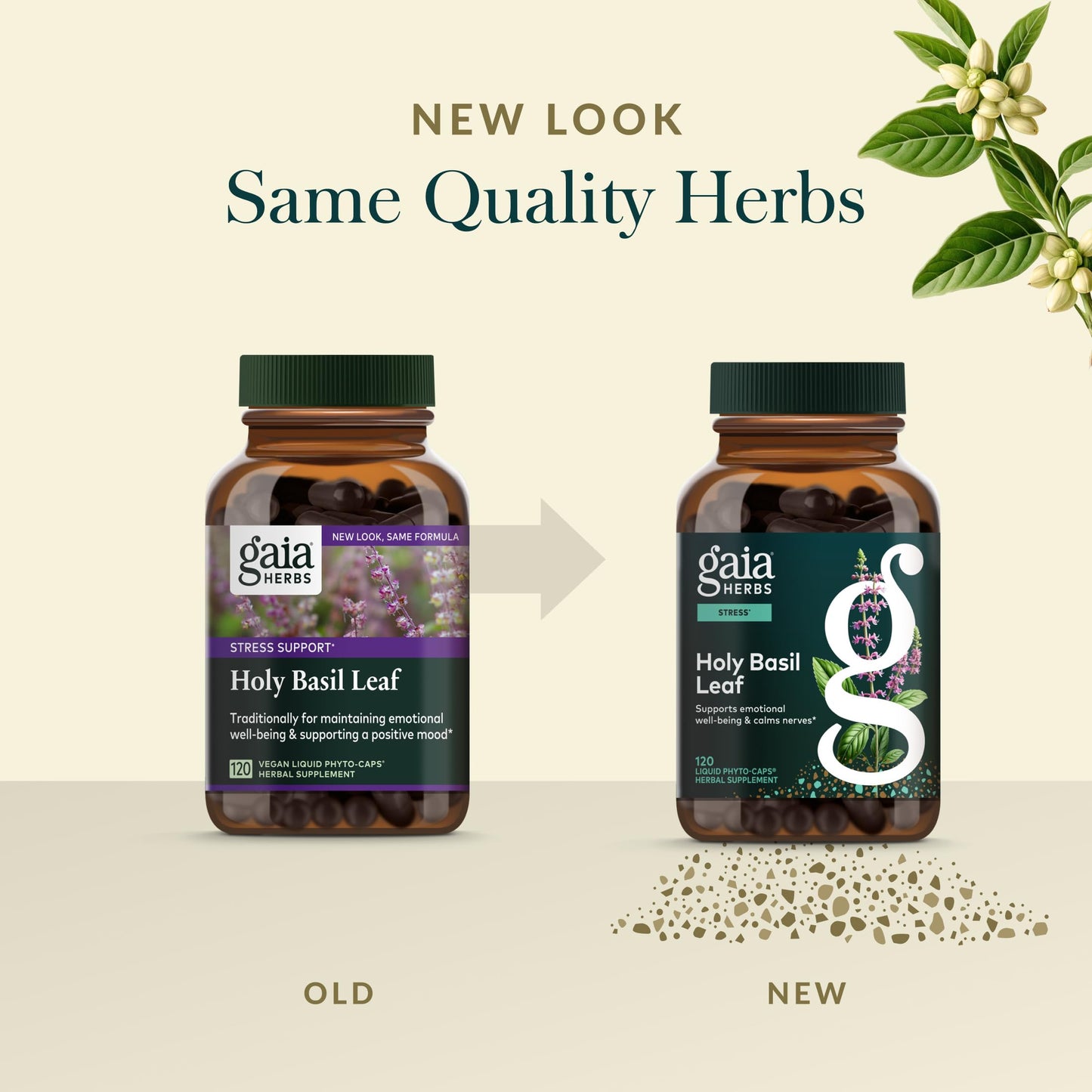 Gaia Herbs Holy Basil Leaf | Adaptogenic Ayurvedic Stress Support | 120 Vegan Liquid Phyto-Caps (60 Servings)