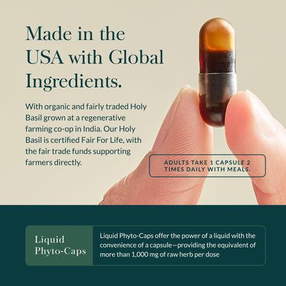 Gaia Herbs Holy Basil Leaf | Adaptogenic Ayurvedic Stress Support | 120 Vegan Liquid Phyto-Caps (60 Servings)