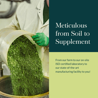 Gaia Herbs Holy Basil Leaf | Adaptogenic Ayurvedic Stress Support | 120 Vegan Liquid Phyto-Caps (60 Servings)