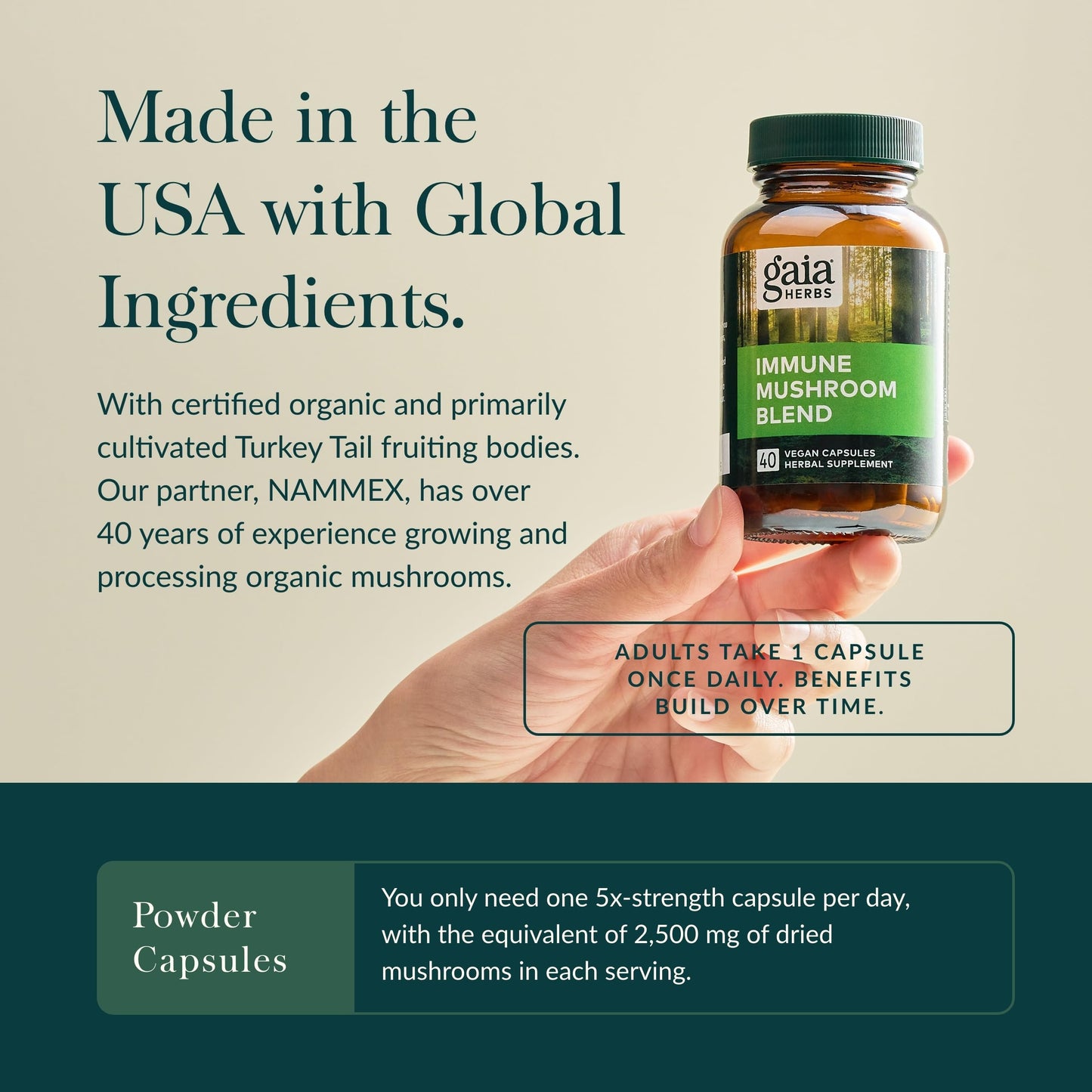 Gaia Herbs Immune Mushroom Blend – Immune Support (40 Vegan Capsules)