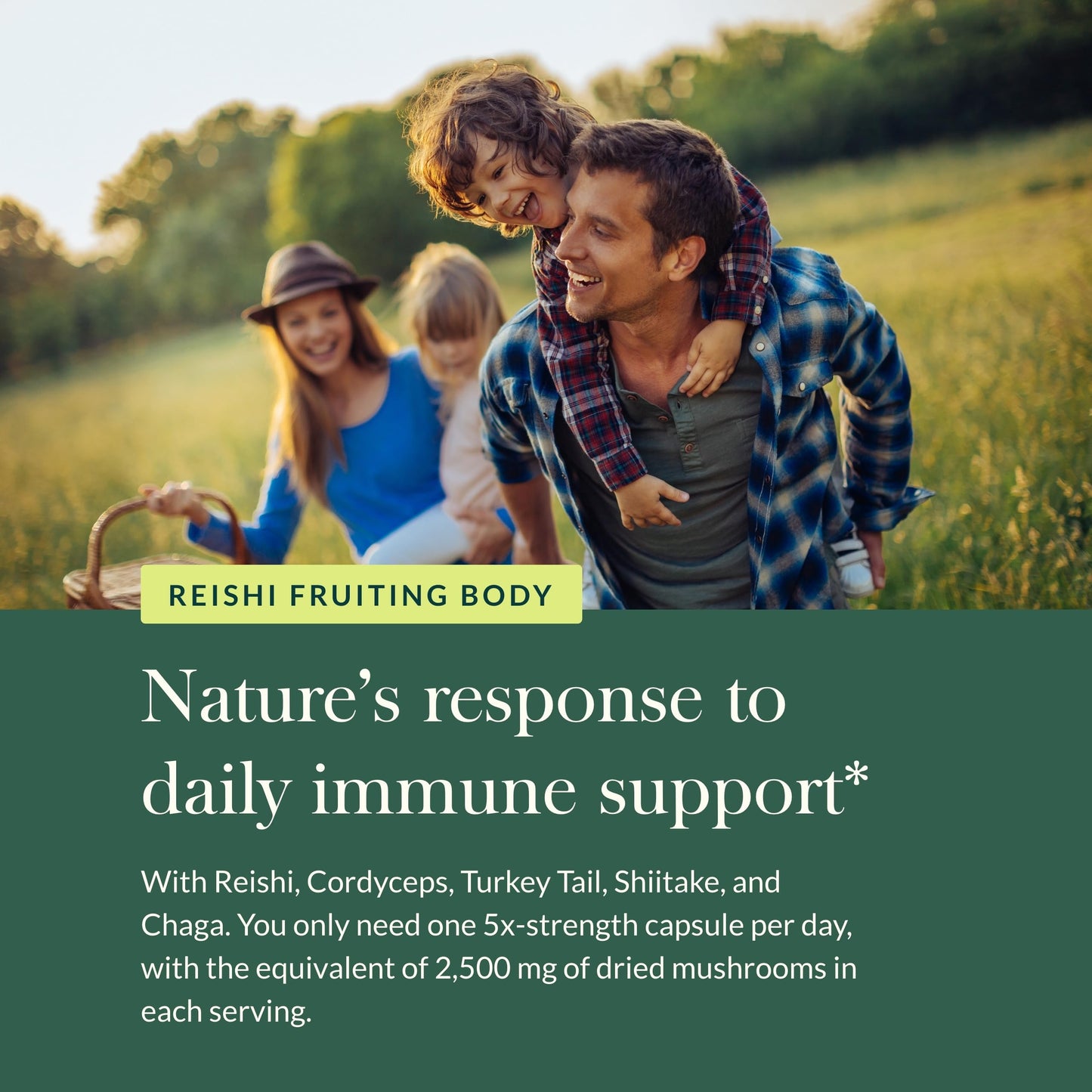 Gaia Herbs Immune Mushroom Blend – Immune Support (40 Vegan Capsules)