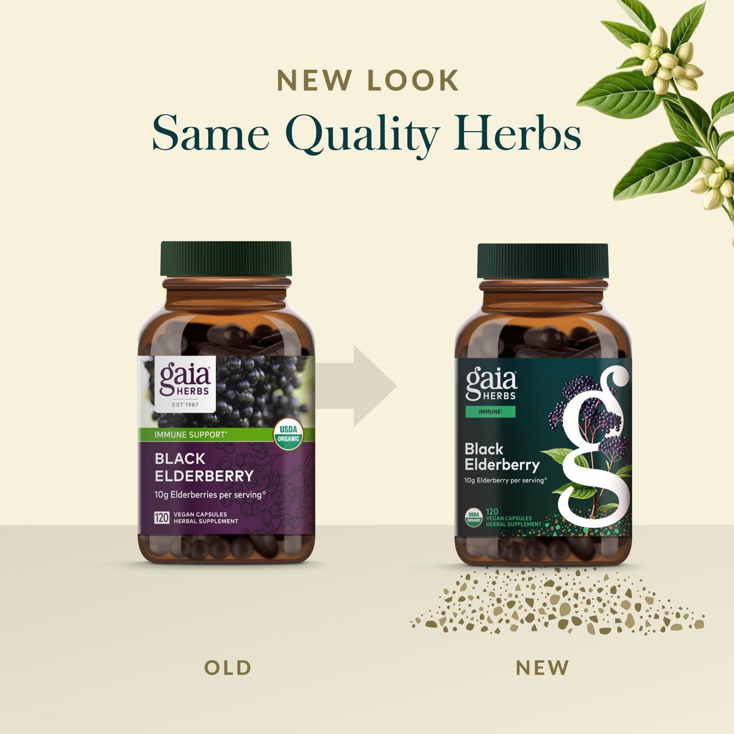 Gaia Herbs Black Elderberry – Daily Immune Support Capsules with Acerola (120 Vegan Capsules, 60 Servings)